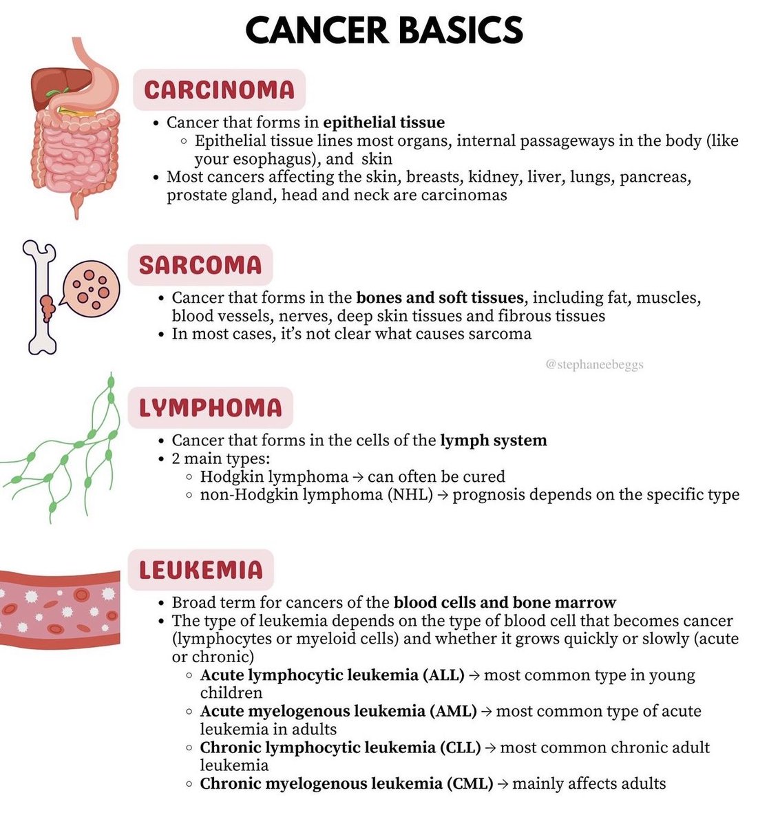 Some cancer basics by stephaneebeggs