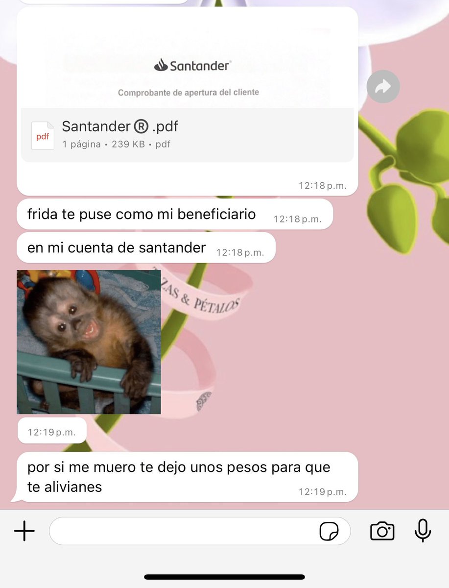 fridaarosas's tweet photo. jajajajaja mi hermana 🥹😂 https://t.co/rpraIt36AC