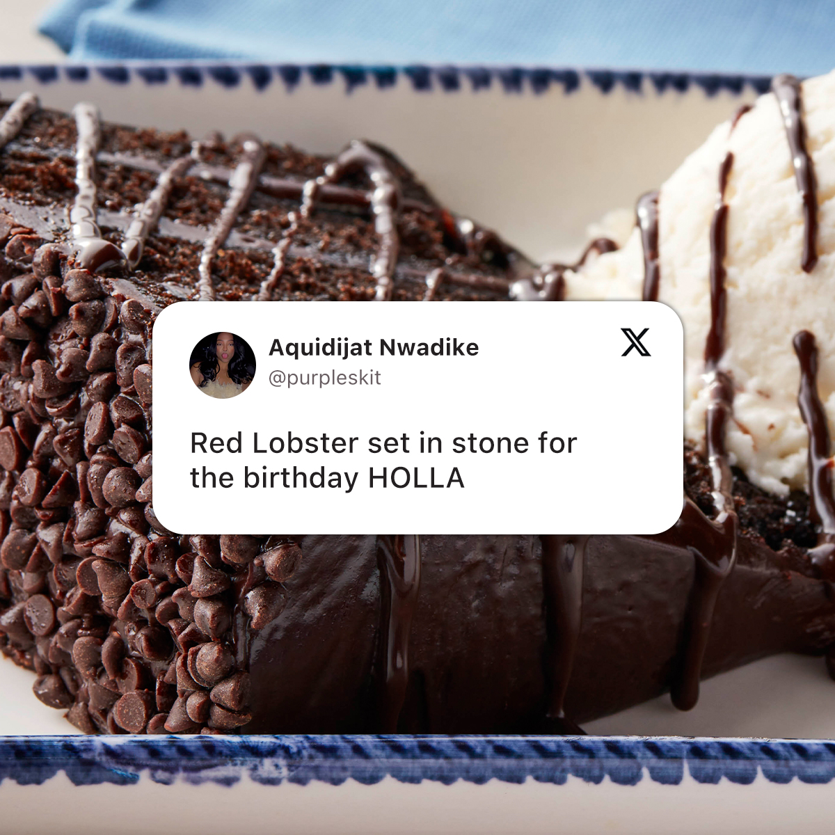 CHOCOLATE WAVE CAKE >