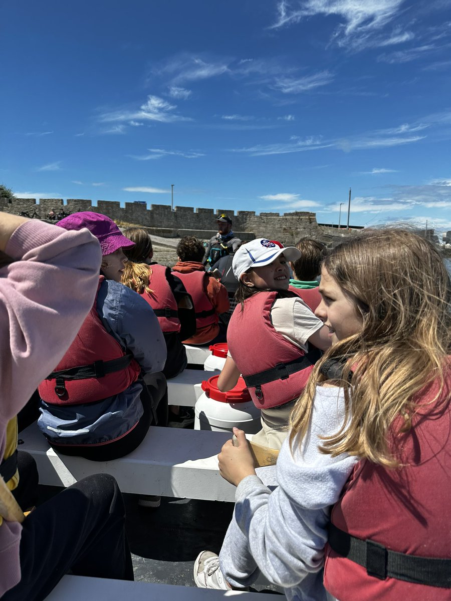 Haberdashers' Hatcham Free School tweet media