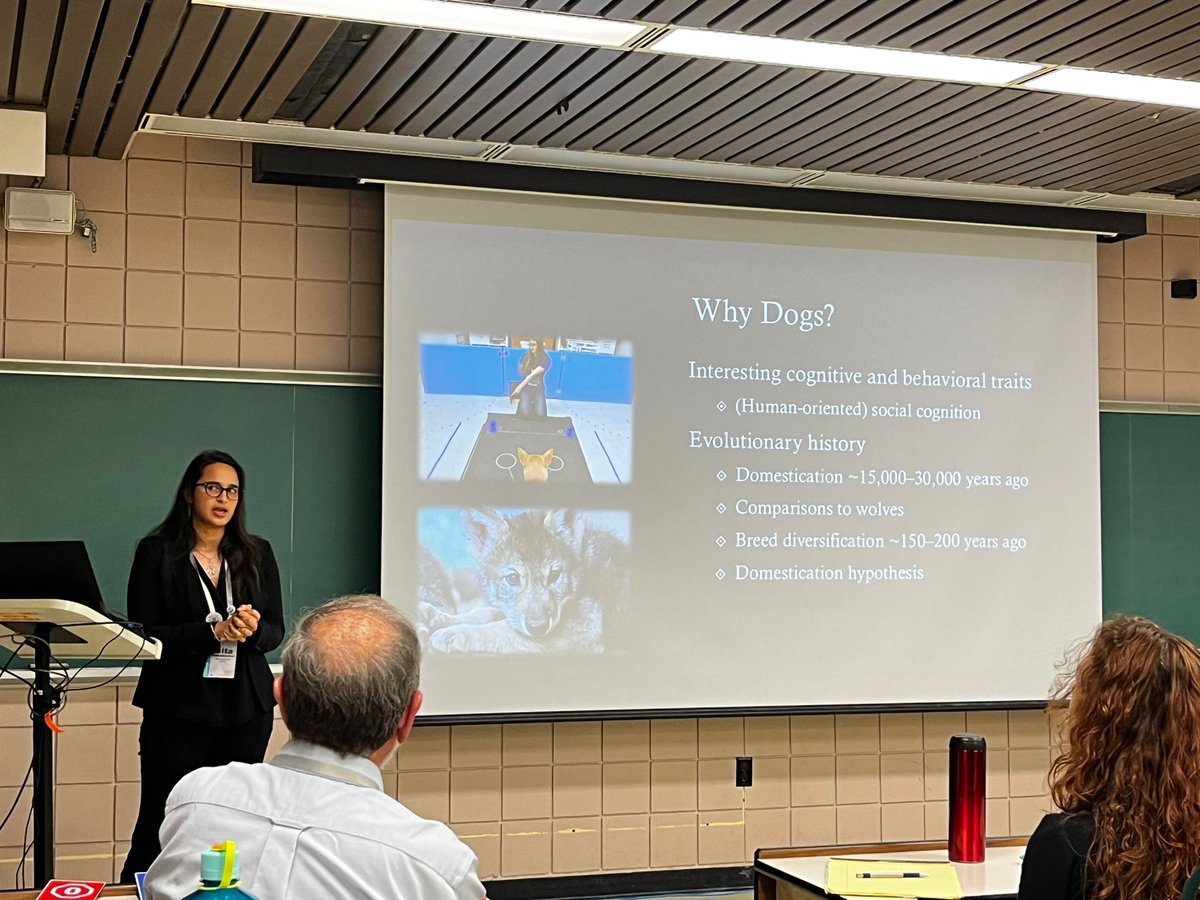 APEsEmory's tweet photo. In June, @g_gnanadesikan, @Sarah_Kovo, and @MistryArianna attended the 2024 Animal Behavior Society Conference. @Socaplab grad student @Sarah_Kovo and APE Lab postdoc @g_gnanadesikan both gave a fantastic presentations, &amp; Gita was selected a finalist in the Allee Competition! https://t.co/RON3OPUWiN