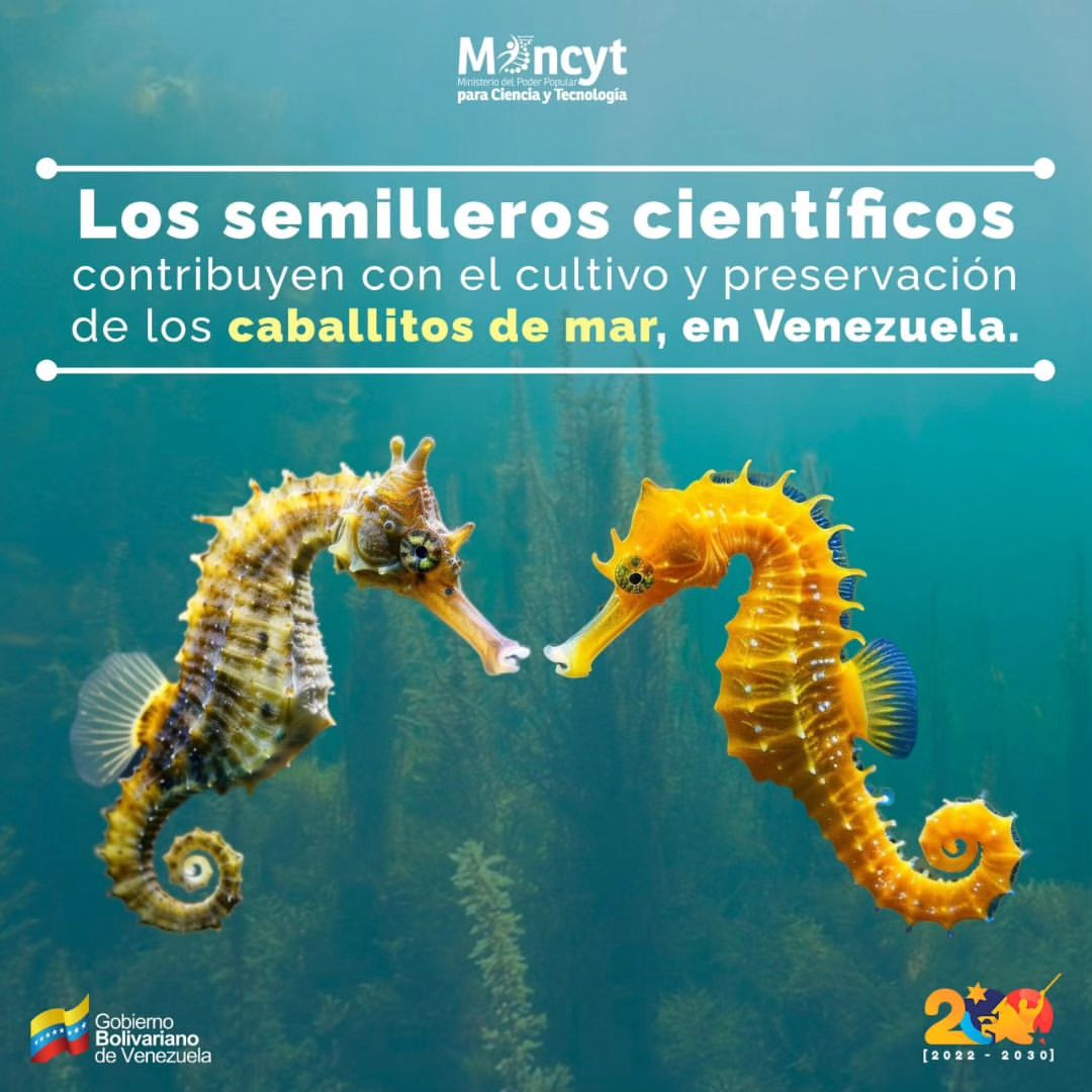 Gabriela Jiménez tweet media