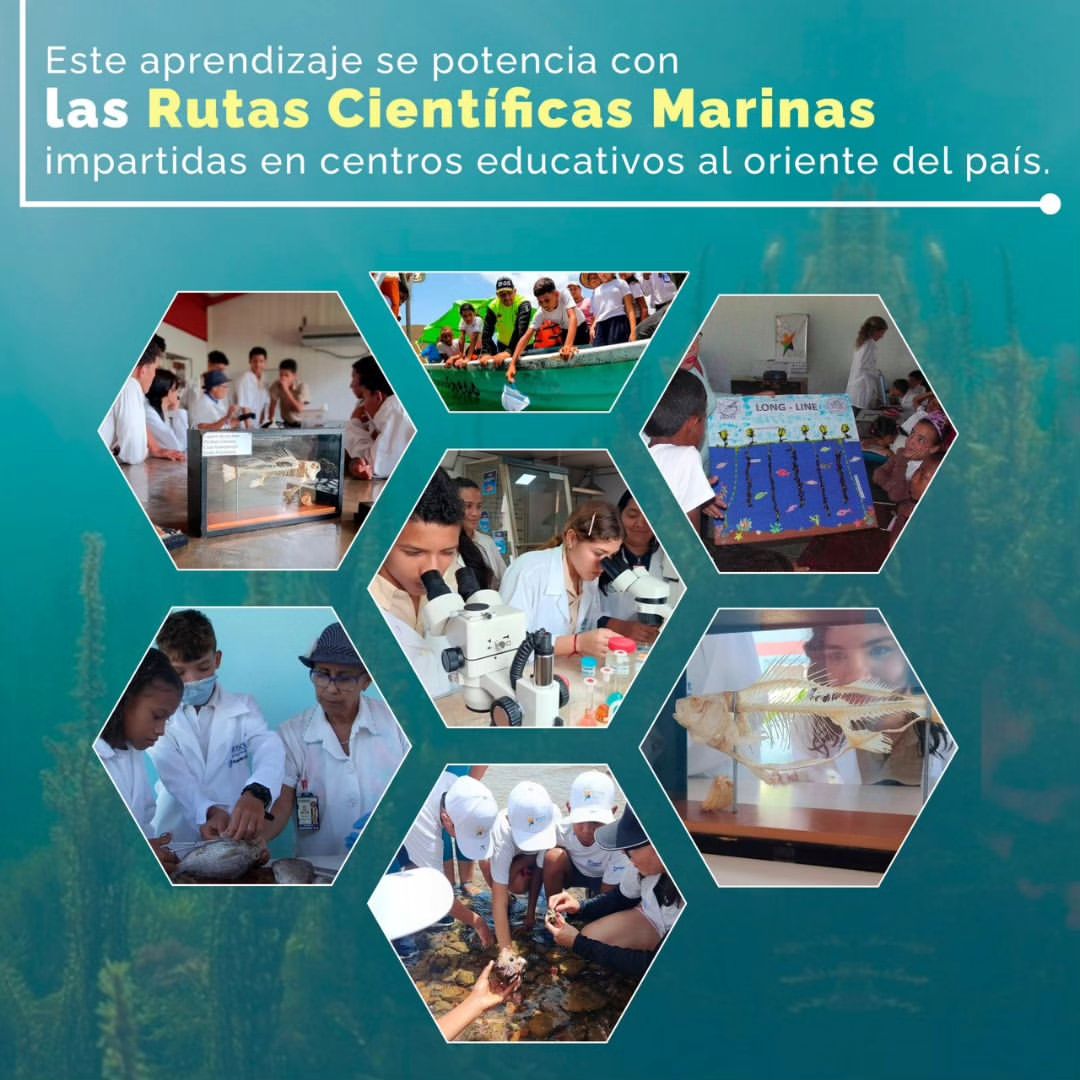 Gabriela Jiménez tweet media