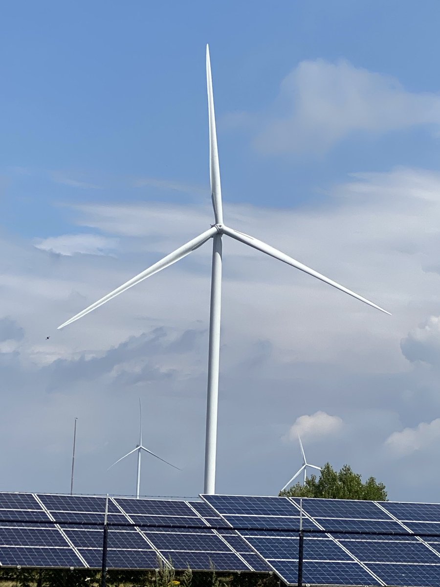 Claire Waysand tweet media