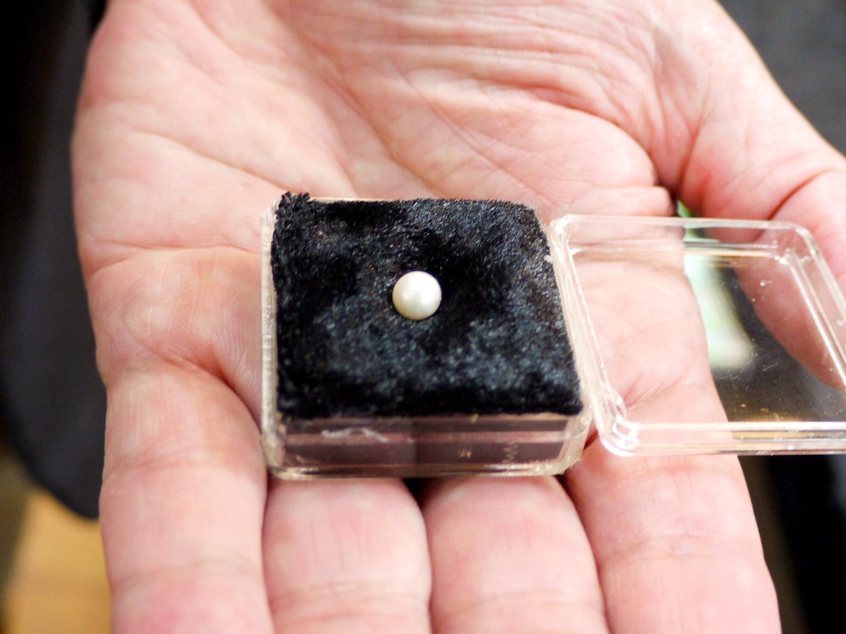 131年前の今日。1893年7月11日、真珠大手ミキモト創業者・御木本幸吉が