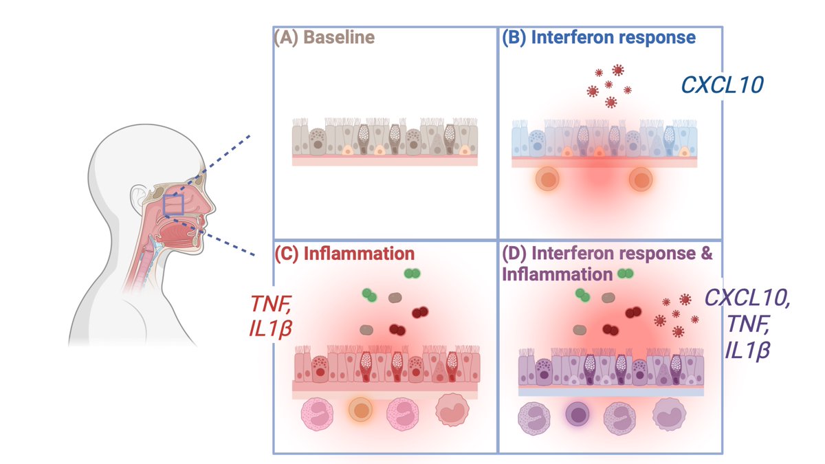 Ellen Foxman tweet media