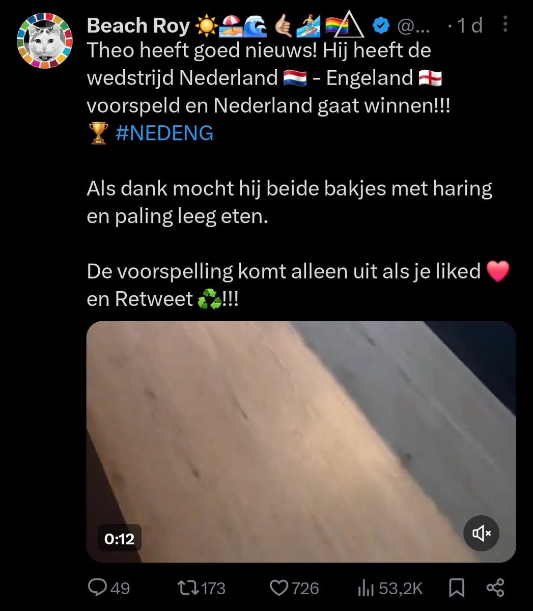 Sorry ik heb de voorspelling van Theo niet geliked en geretweet. We hebben door mij #NEDENG verloren! <a href="/Beach_Roy33/">Roy van der Weijden 🤙☀️🏄🏼‍♂️</a>