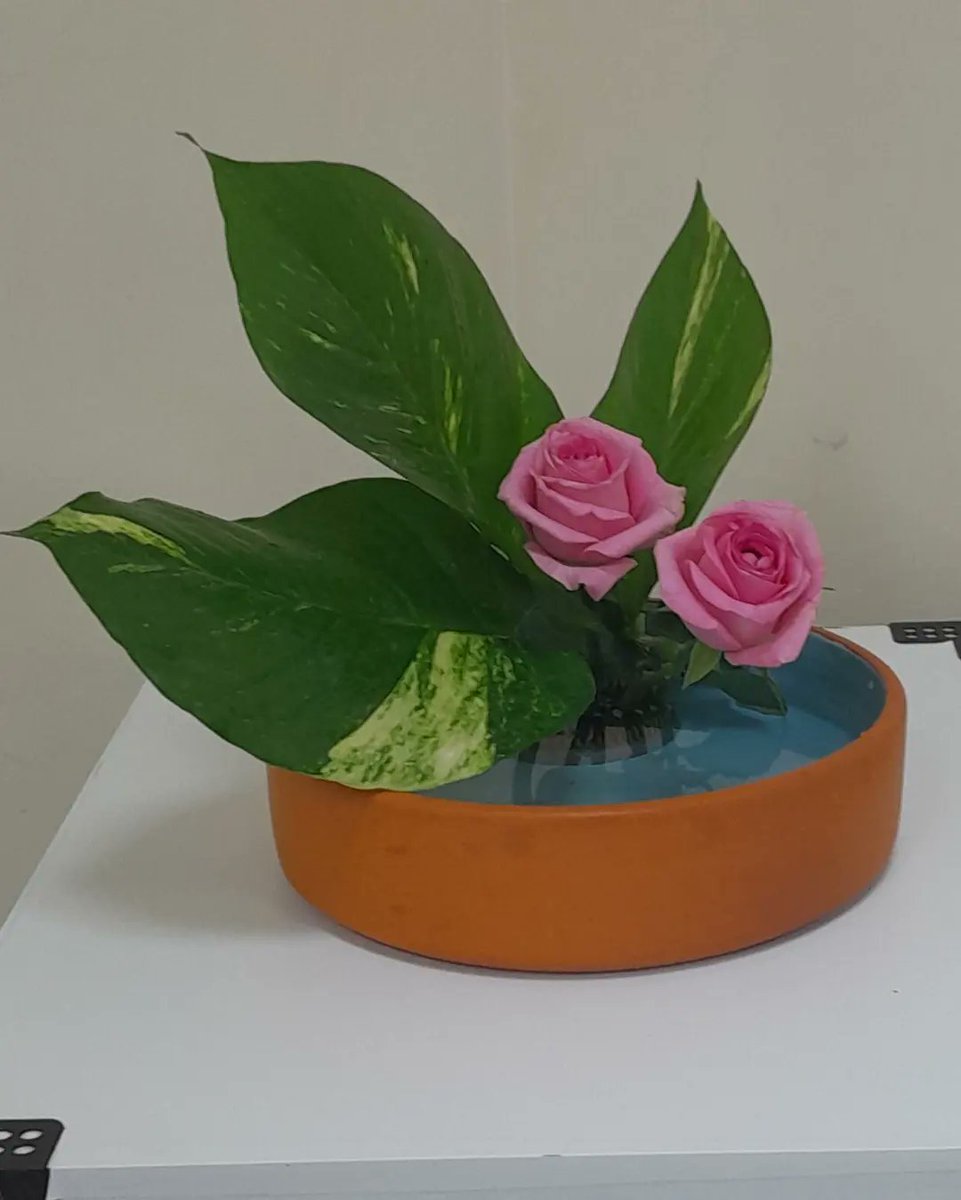 wendell27891198's tweet photo. Ikebana sanguetsu.  Estudo de face, volume e maço. 
Men massu

#Ikebana #sanguetsu #ikebanasanguetsu #flordemeishusama #immb https://t.co/vgWUJ2EQMz