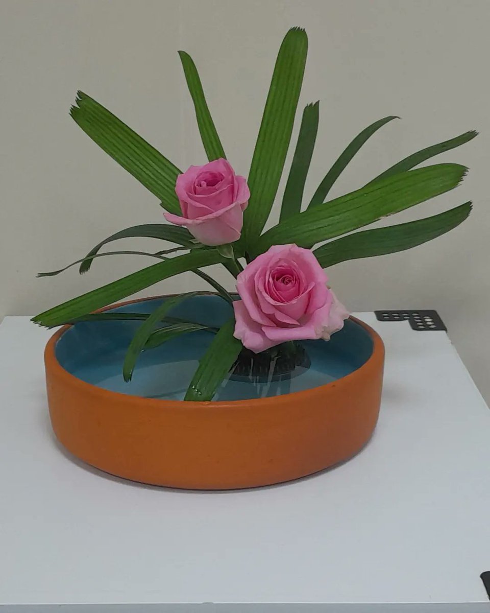 wendell27891198's tweet photo. Ikebana sanguetsu.  Estudo de face, volume e maço. 
Men massu

#Ikebana #sanguetsu #ikebanasanguetsu #flordemeishusama #immb https://t.co/vgWUJ2EQMz