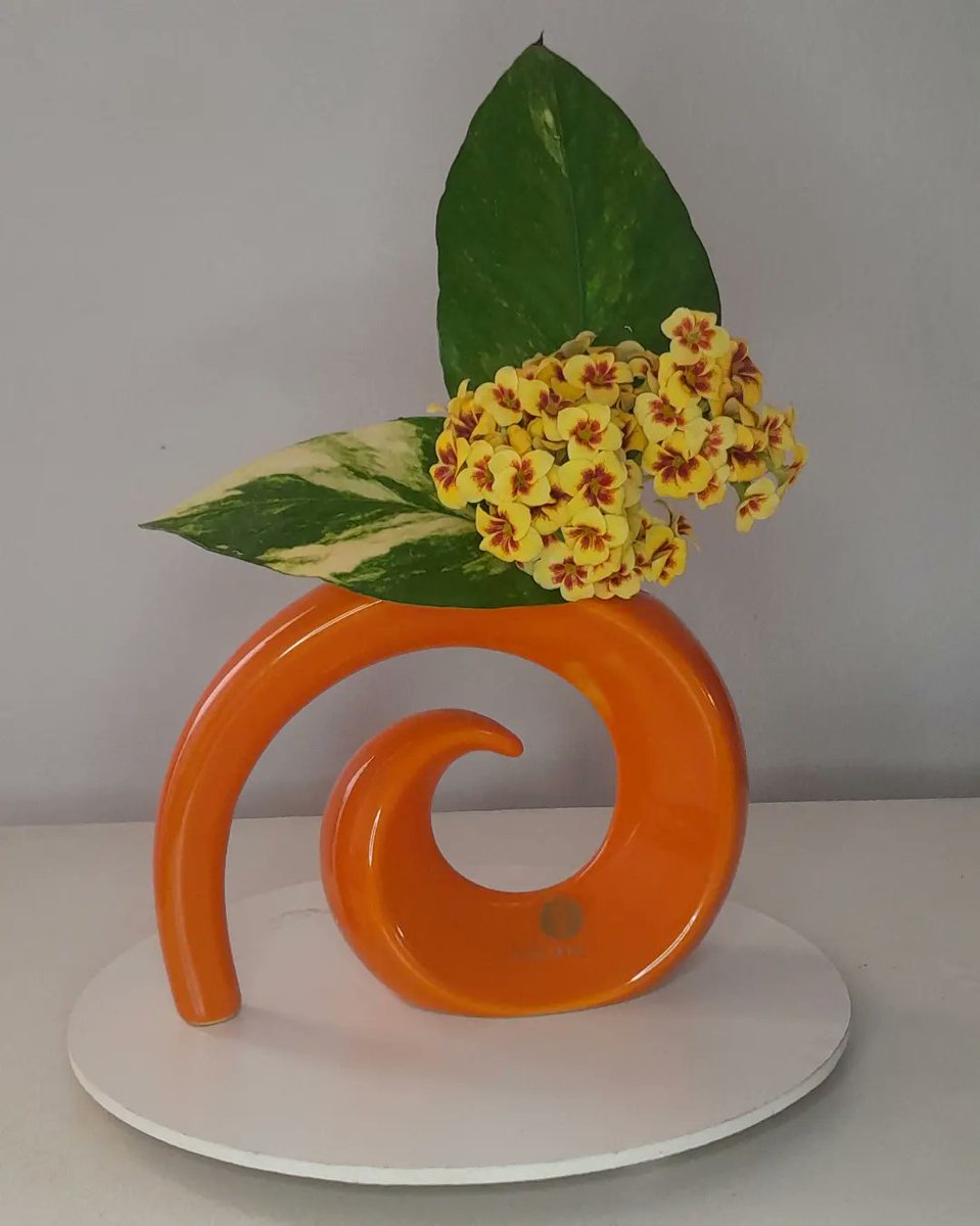 wendell27891198's tweet photo. Ikebana sanguetsu.  Estudo de face, volume e maço. 
Men massu

#Ikebana #sanguetsu #ikebanasanguetsu #flordemeishusama #immb https://t.co/vgWUJ2EQMz