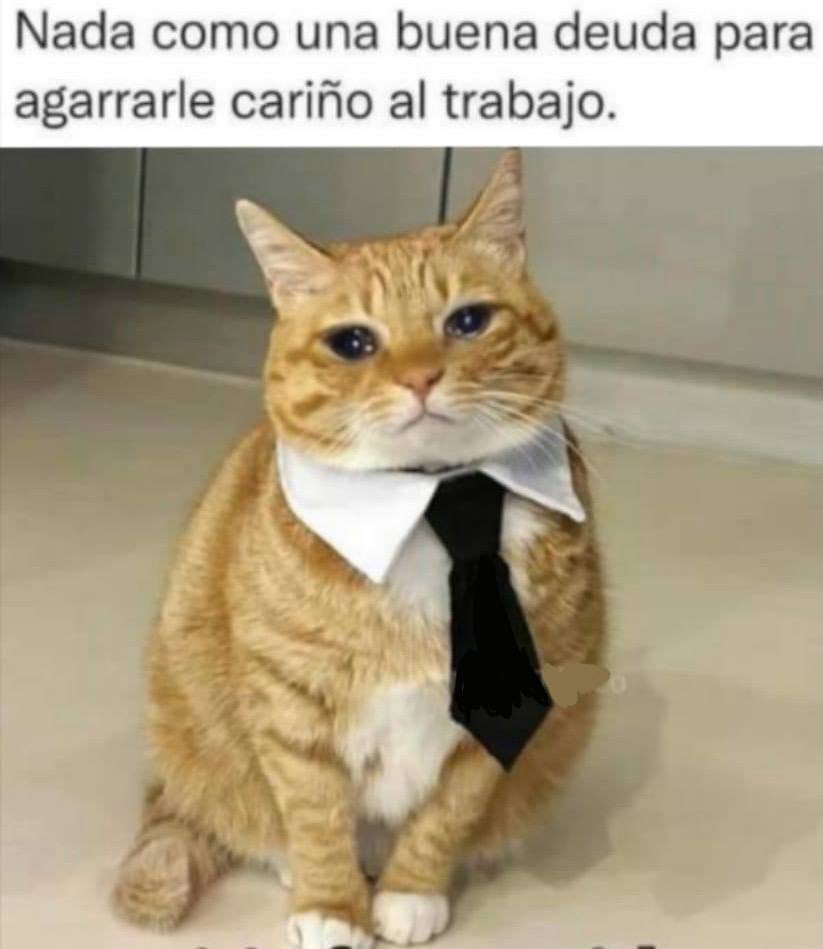 😅😂😂😂😂😂😂