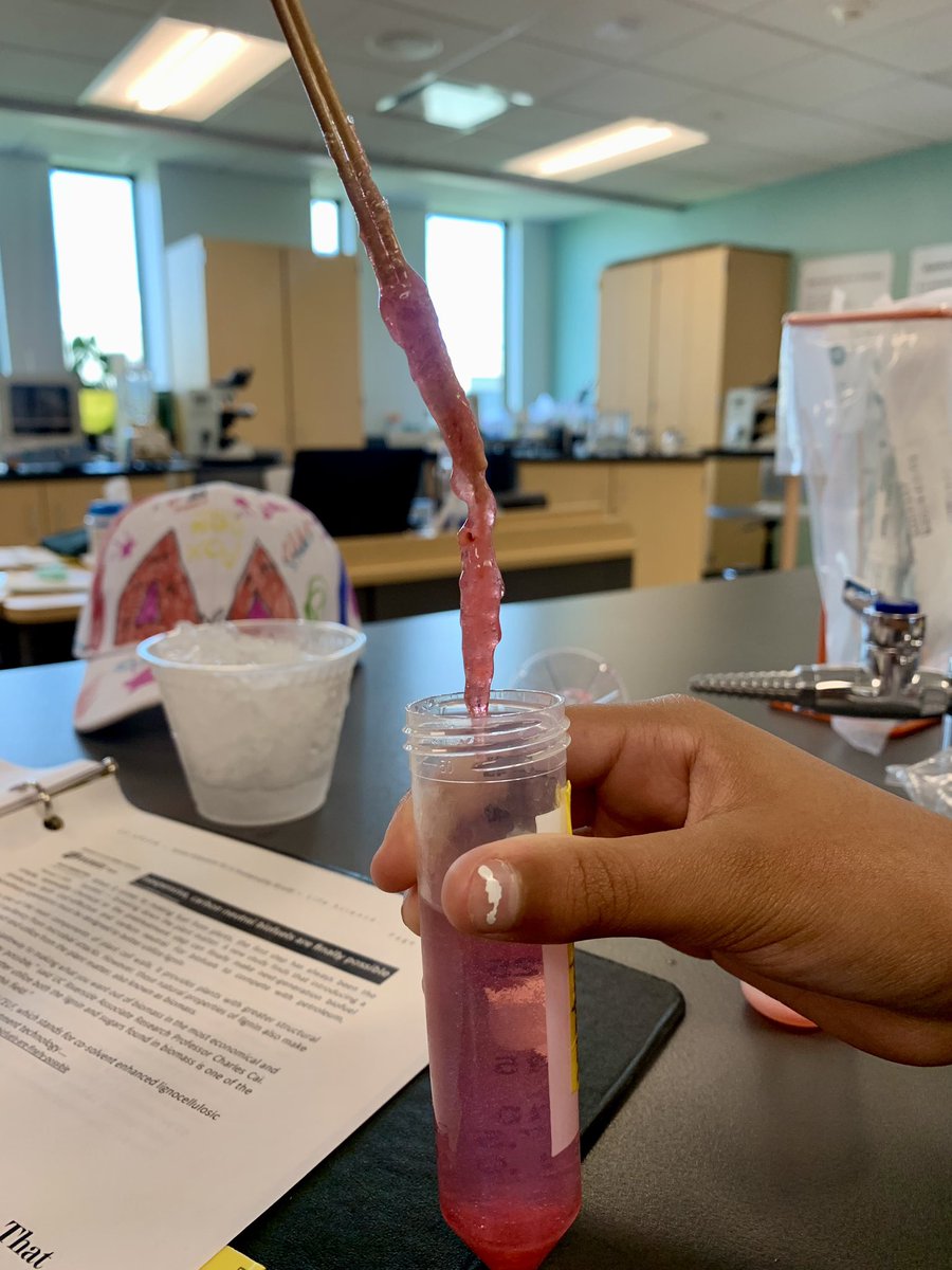 MrMarchewkaBHS's tweet photo. Go Green Day 3 Afternoon - Life Science learning about DNA. #BPatriotProud #BHSFaculty @BinghamtonCSD @Kevin_Richman @MiriamSPurdy @ScallanJT @dawnecadams @DrToniaThompson @bcsdhr @smcgovern89 https://t.co/szXRp5pMRy