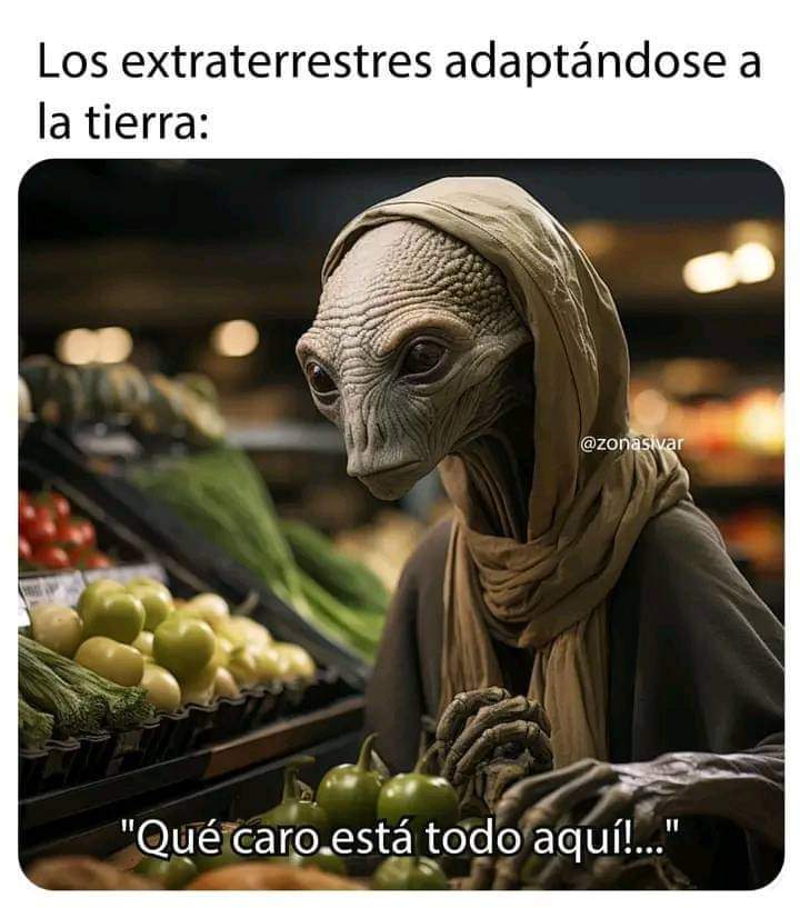 🤣🤣🤣🤣🤣