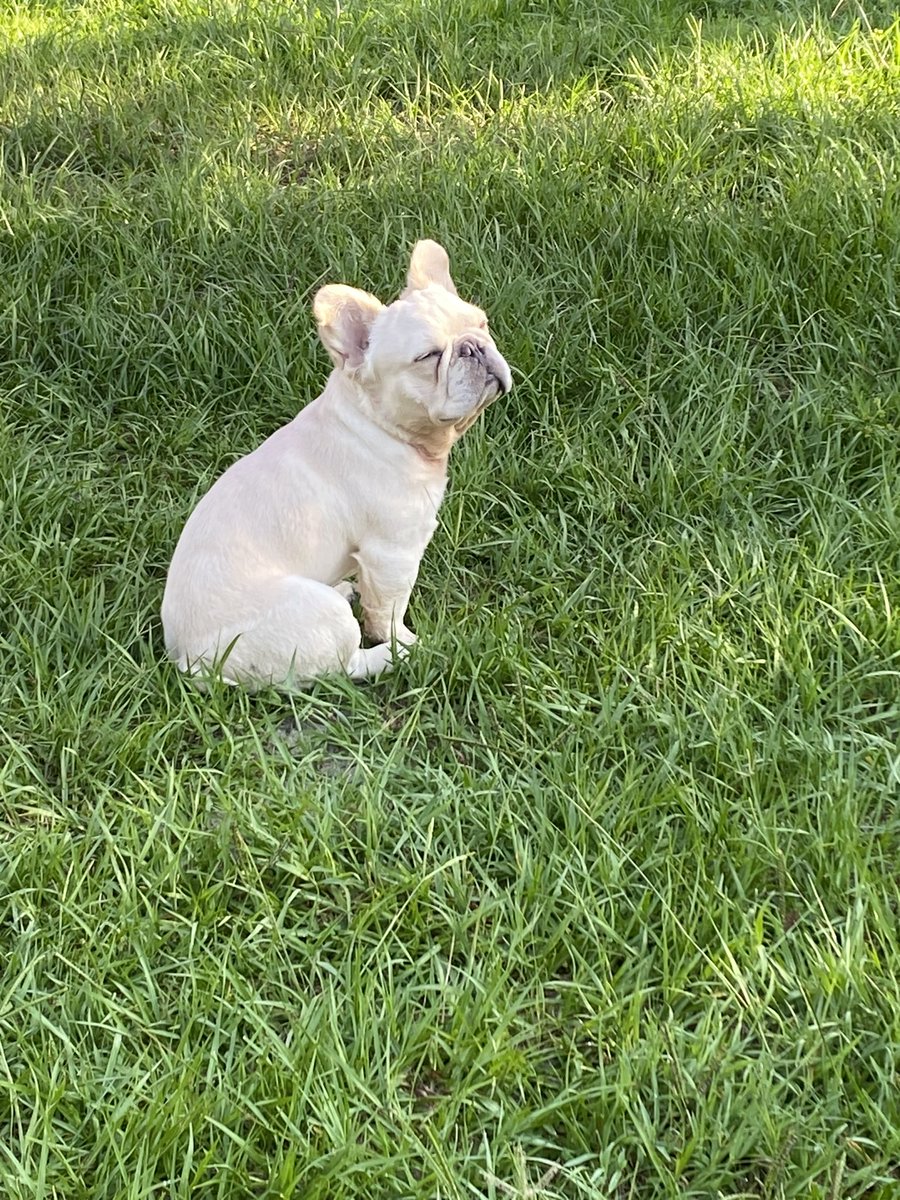 Morning sun light hit different