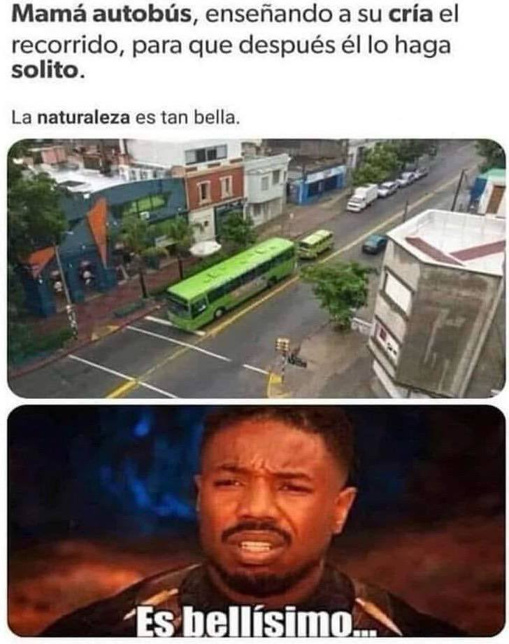 😅😂😂😂😂😂😂