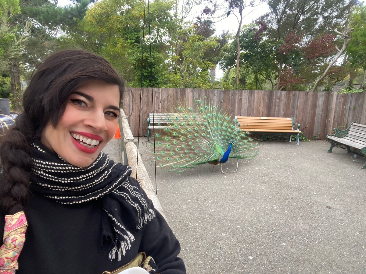 shabnamdancer's tweet photo. Another peacock encounter 
#blog https://t.co/pzvy675L71