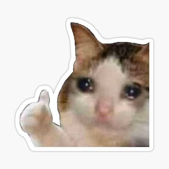 stefilz's tweet photo. X: “Tefa juega mal, pero gusta su actitud, sabe que es un juego y no se resiente”
Yo: *dándolo todo en la cancha* https://t.co/U9dx9amp0j
