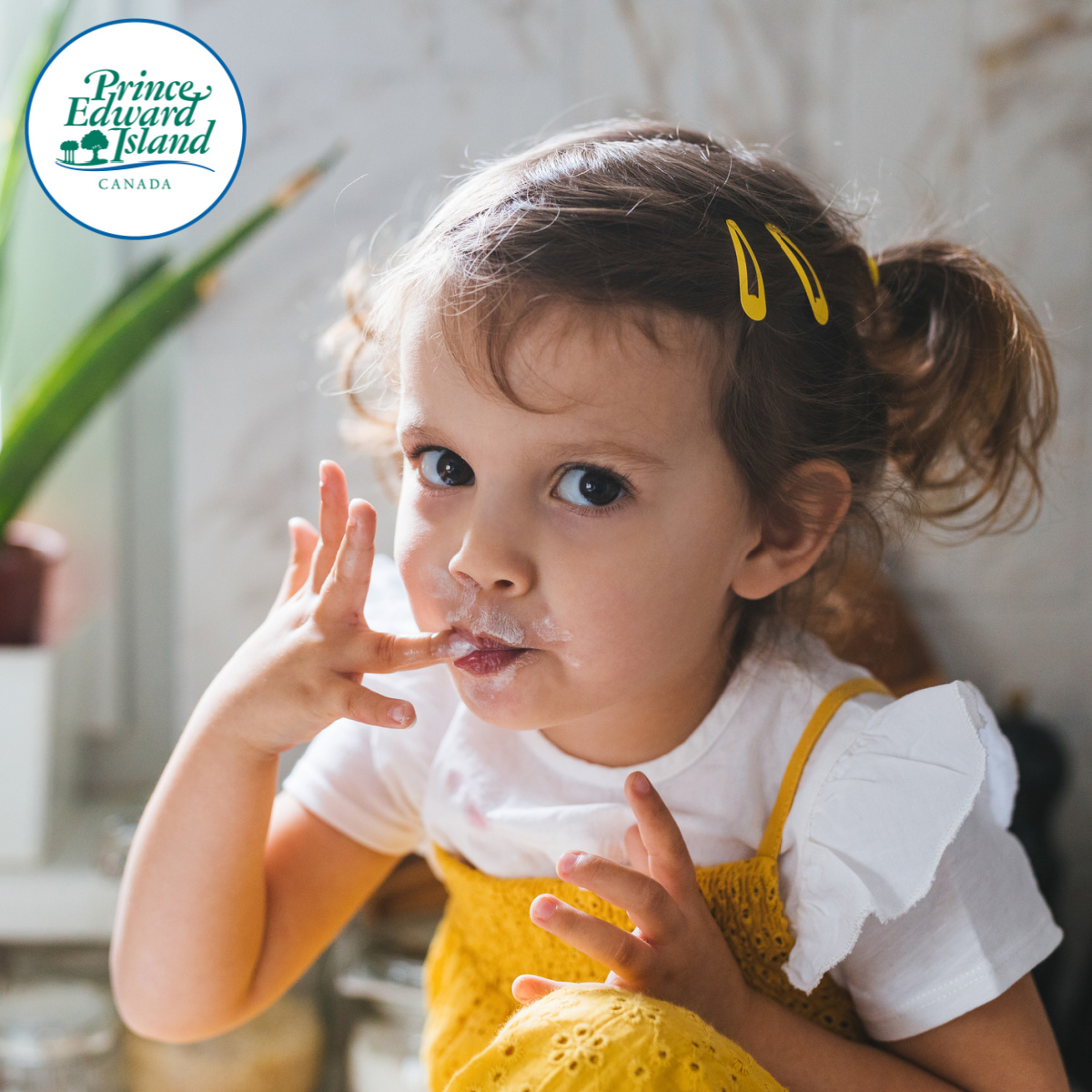 The province is reviewing the impact of food waste and launching a Provincial Food Waste Reduction Strategy. 
Participate in our survey by August 14, 2024, and contribute to a sustainable PEI. More info here: princeedwardisland.ca/en/information…