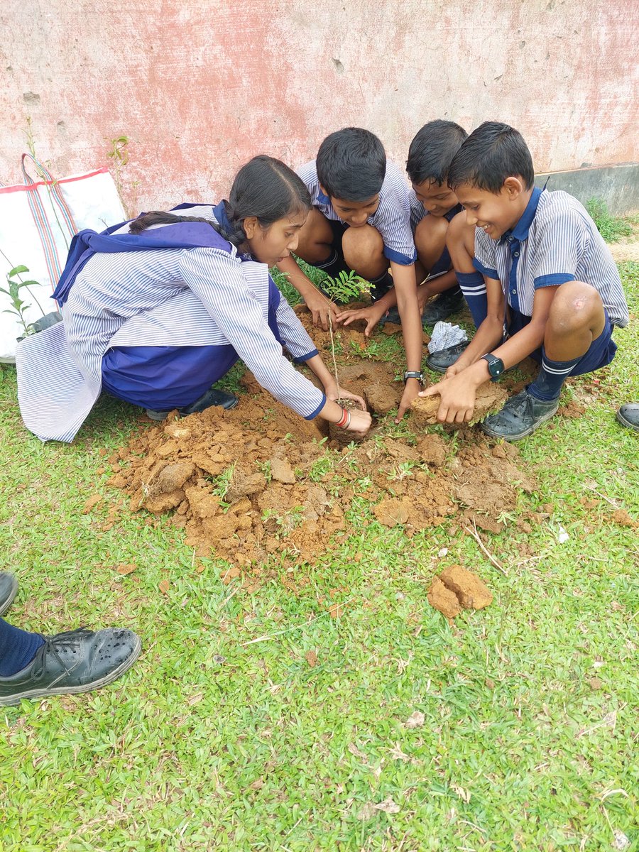 Sfd4tripura's tweet photo. গতকাল রাষ্ট্রিয় বিদ্যার্থী দিবস উপলক্ষে আজ SFD  তেলিয়ামুড়া নগর শাখার অন্তর্গত মোহড়ছড়া দ্ধাদশ শ্রেনী বিদ্যালয় ইউনিটের উদ্যোগে বিদ্যালয় প্রাঙ্গনে বৃক্ষরোপন করা হয়।।। 
#StudentsForDevelopment 
#ABVP76 https://t.co/Omg04XIHh7