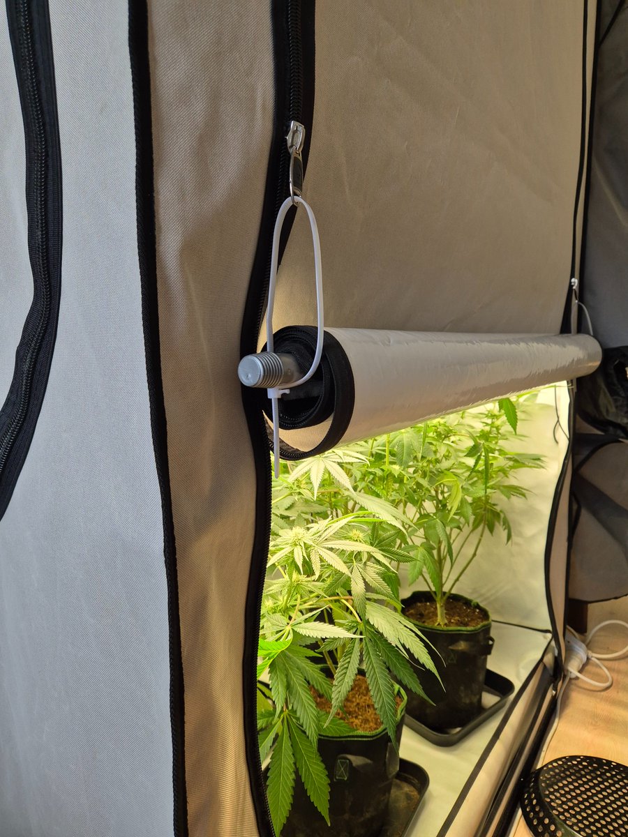 CalyxTrainer's tweet photo. Kleiner Tipp für #HOMEbox Benutzer wie man die Frontöffnung in jeder gewünschten Höhe positionieren kann.🪴✌️#growyourown https://t.co/pc68HeSuOe