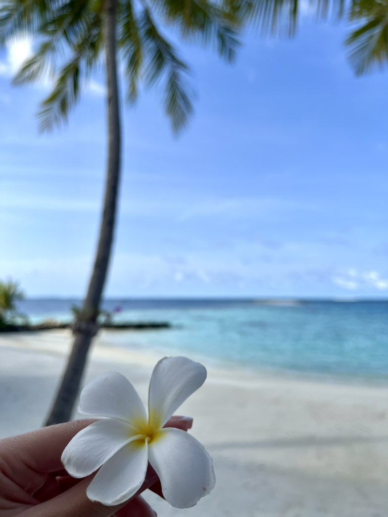 Marie made it to Maldives 🩵 

instagram.com/mariemesi/ 📍Insta stories