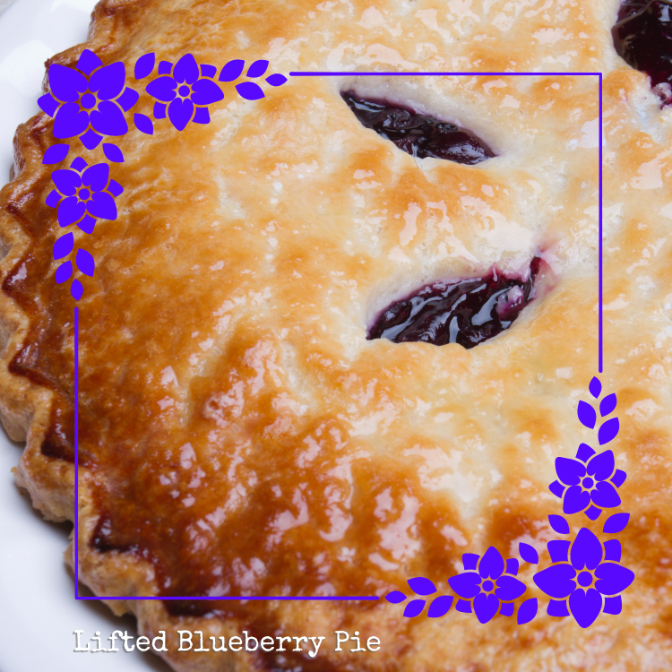 BrainForest420's tweet photo. Lifted Blueberry Pie - our favorite!🫐

Find the recipe here: https://t.co/aaIIYMd681 https://t.co/YKsqk2vW9O