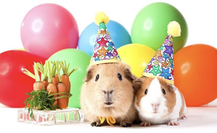 Many happy returns <a href="/joolimoog/">jooli</a> - hope you’re having a splendid day 😁