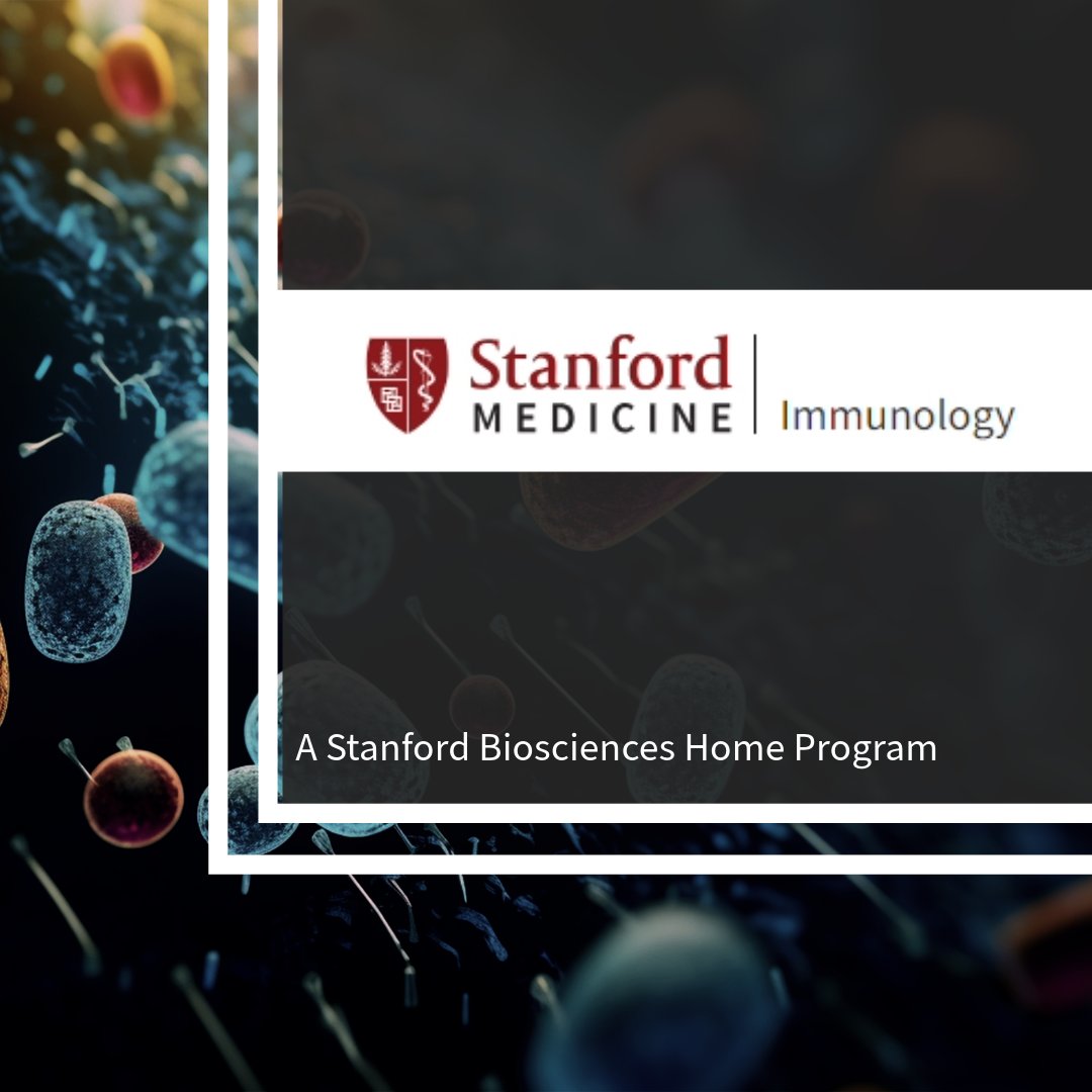 StanfordBiosci's tweet photo. Stanford Biosciences is comprised of 14 home programs. In our #HomeProgramSeries we will be taking a peek at the different departments. Swipe ➡️ to learn about our #Immunology program and faculty. For a #DeepDive visit their website: https://t.co/2pNlzdtHER https://t.co/lXQwt2vE86