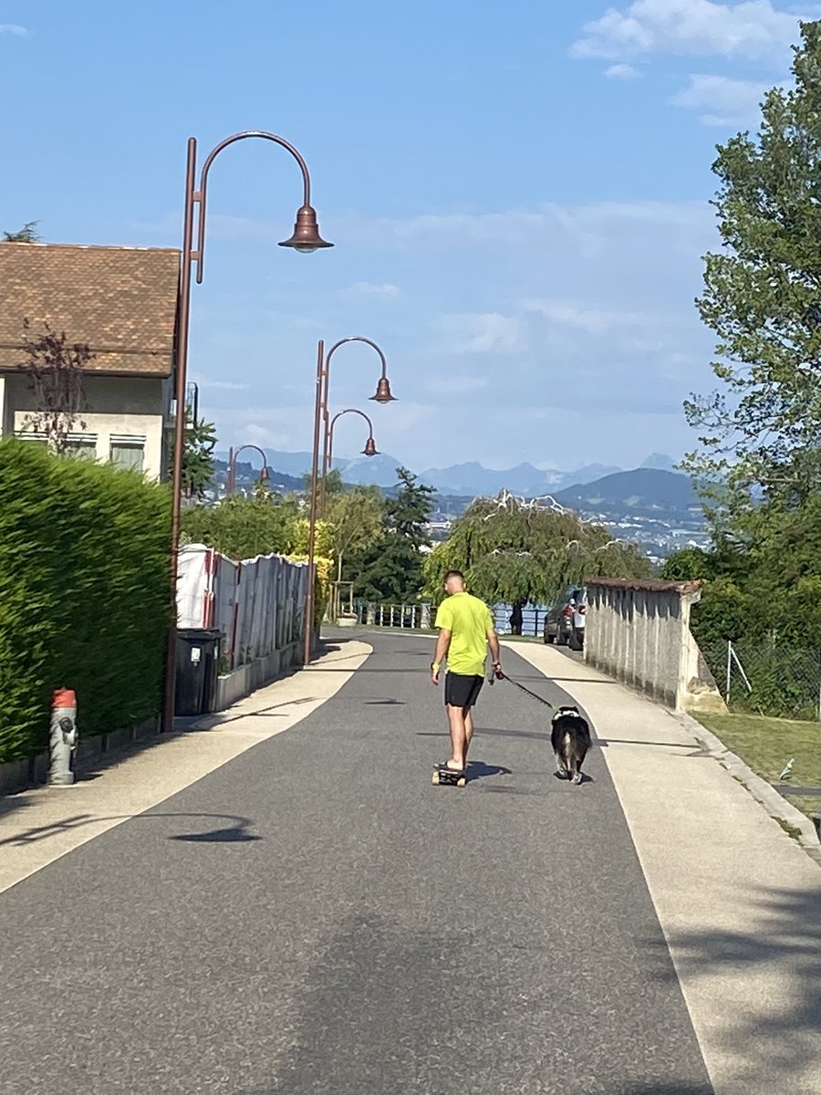 Madame_Poppins's tweet photo. J’ai intérieurement hurlé « protêt » : le mec se fait tirer par son chien sur sa planche à roulettes, il triche à l’épreuve #MarcheUneHeure ! #Vidy #Lausanne #StSulpice https://t.co/7H5OUXNrPq