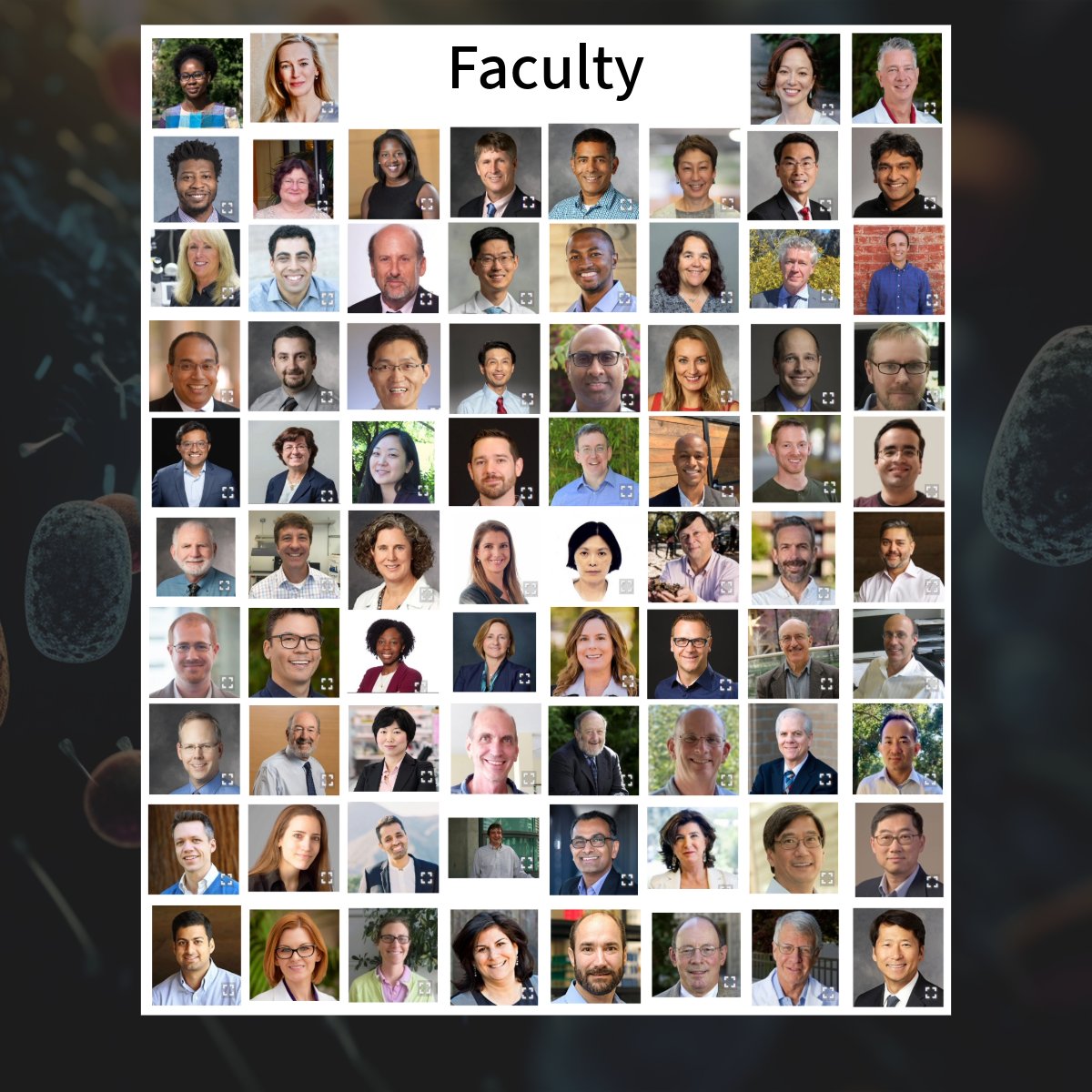 StanfordBiosci's tweet photo. Stanford Biosciences is comprised of 14 home programs. In our #HomeProgramSeries we will be taking a peek at the different departments. Swipe ➡️ to learn about our #Immunology program and faculty. For a #DeepDive visit their website: https://t.co/2pNlzdtHER https://t.co/lXQwt2vE86