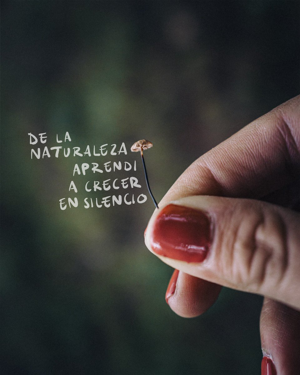 care_much's tweet photo. en silencio https://t.co/bx0z6ymsOt