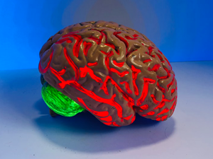 Parasites exist all throughout the natural world, but there's one particularly unnatural parasite that only affects humans, and we created it.

Safina Center Writer-in-Residence @4FishGreenberg writes about #creativity in a #capitalist society: safinacenter.org/blog/host-and-…