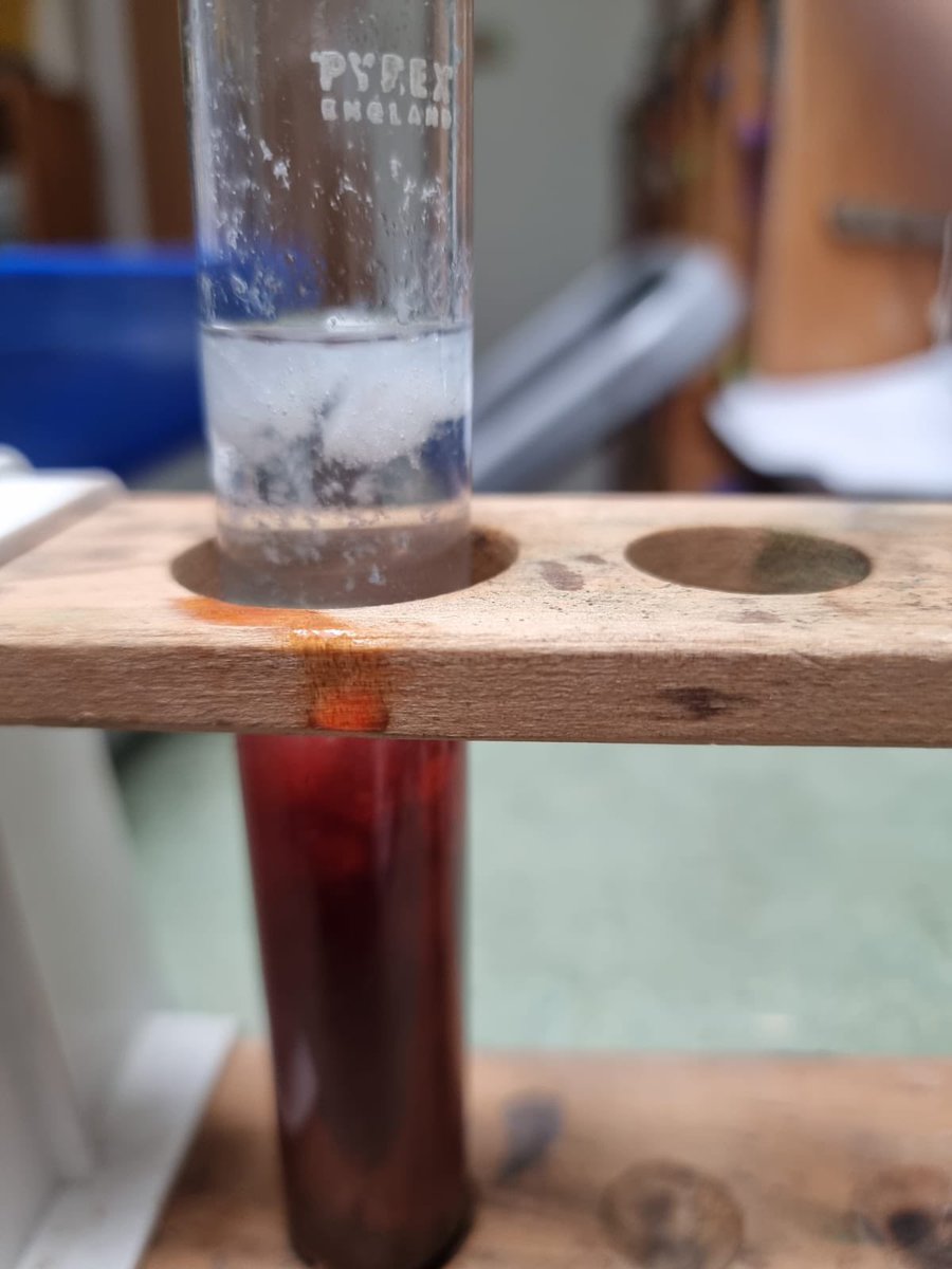 CHSBScienceDept's tweet photo. Extracting DNA ๐งฌ from strawberries like a genetic wizard ๐ฌ๐ #ScienceIsCool What do you think?
#chsb #science #dna #strawberries #experiment #extracting https://t.co/iSSwahABvc