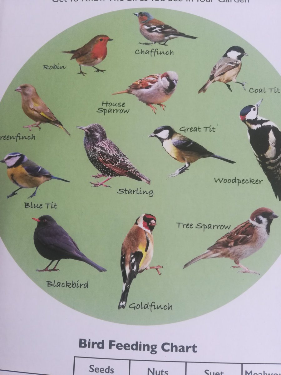 gorsey's tweet photo. There are no crows or jackdaws on the packet, @AldiUK. I dare not go out now. Any advice? https://t.co/K2Yqt0ChTL