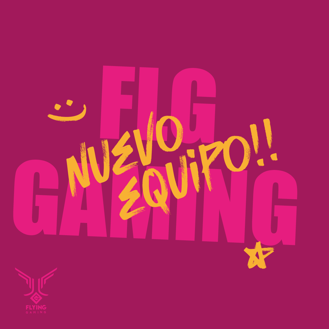 Flying Gaming Esports tweet media