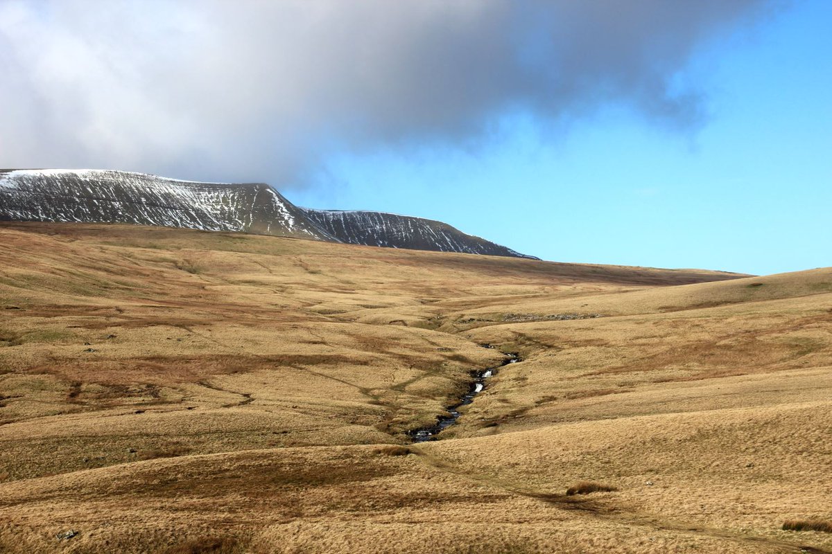 BannauB's tweet photo. 📢 Local Access Forum – Expressions of Interest

We’re seeking expressions of interest for the Brecon Beacons Local Access Forum.

To find out more and register your interest please visit: https://t.co/aqYvUpsVvX https://t.co/WPNgy2Is7J