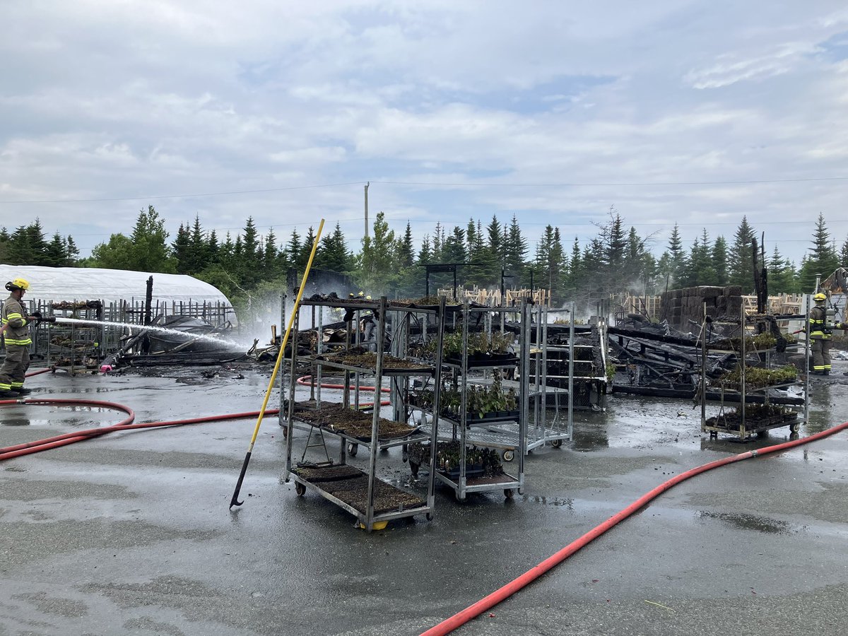 A fire has destroyed one of the buildings and caused damage to a few others at Rise and Shine Nursery and Garden Care in the Goulds. 

<a href="/CBCNL/">CBC Newfoundland and Labrador</a>