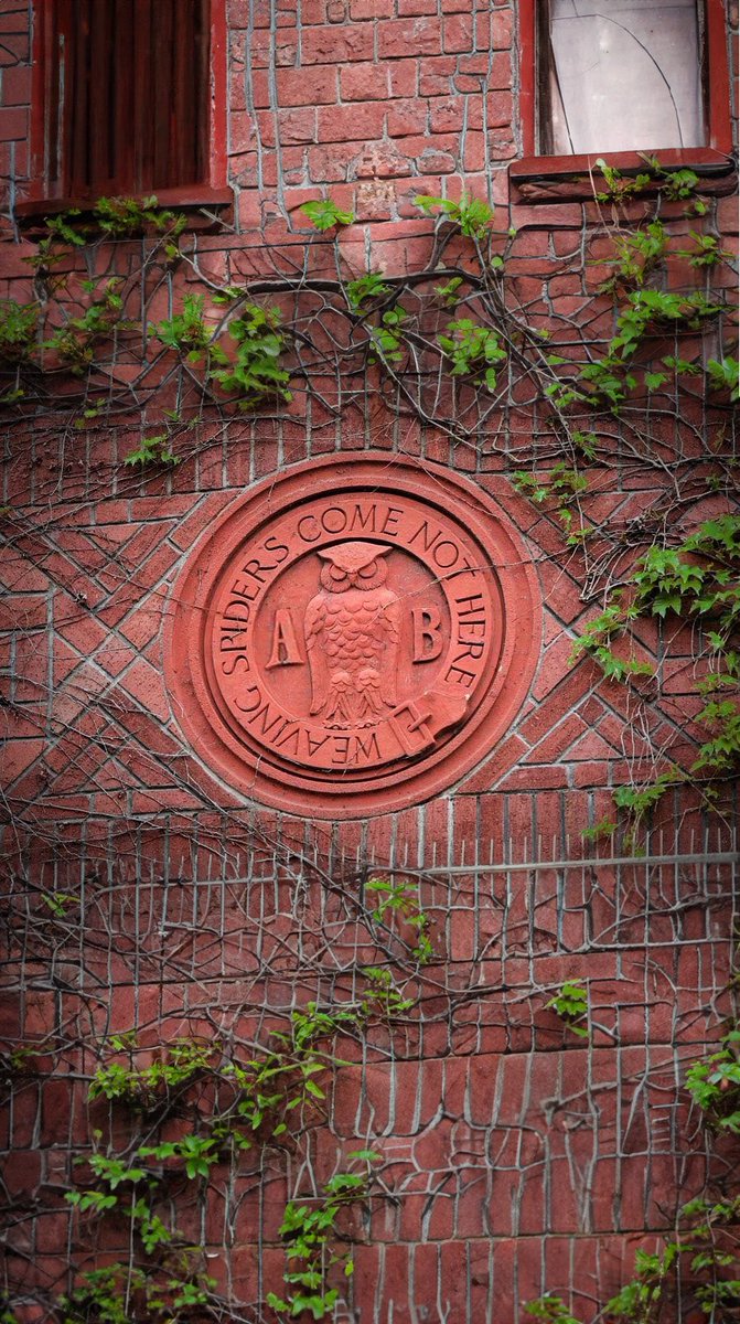 bastardland's tweet photo. Weaving spiders 🕷️ Come Not Here ✋ 
Bohemian Club Tees &amp; Hoodies Available Now At https://t.co/hguYvhHWvg https://t.co/P4Yku5AnyI