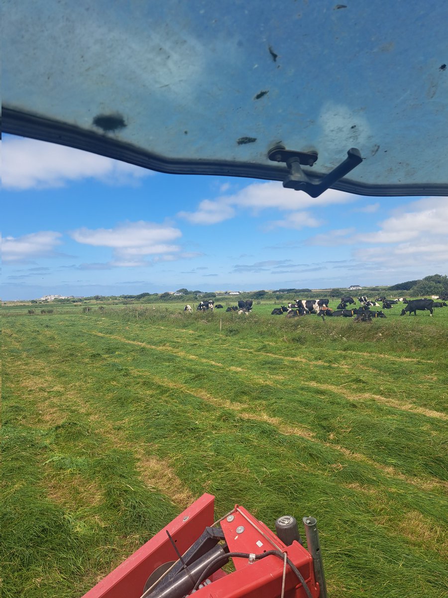 mountrivers12's tweet photo. 3 for the price of 1. 
Fixing the wedge
Fodder for winter
Quality grass next grazing.
#surpluses https://t.co/EtzeJezklP