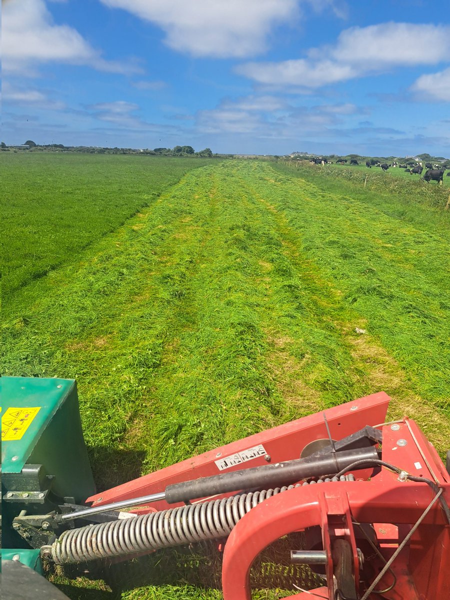 mountrivers12's tweet photo. 3 for the price of 1. 
Fixing the wedge
Fodder for winter
Quality grass next grazing.
#surpluses https://t.co/EtzeJezklP