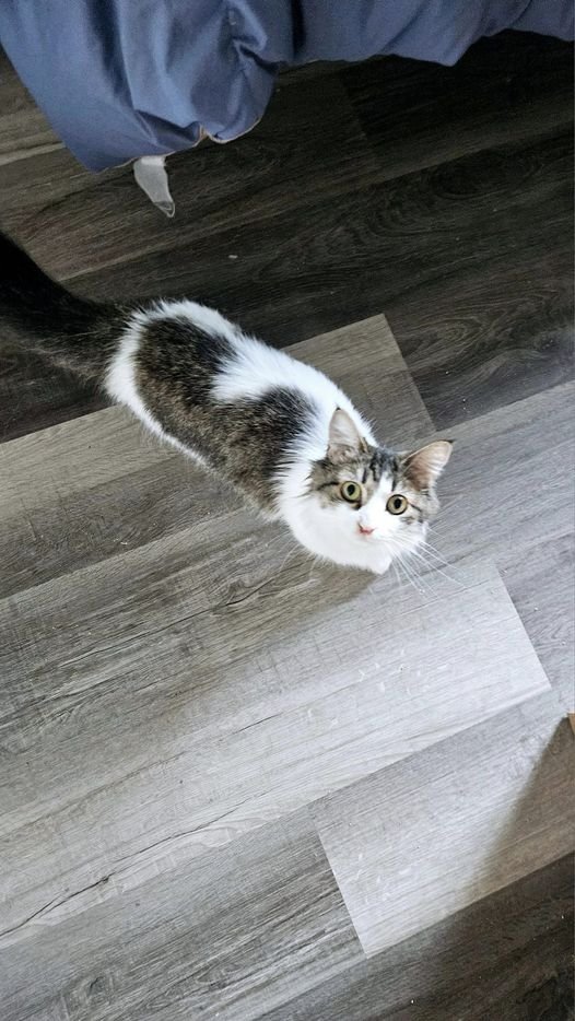 Meet the newest member of the family--Tilly! Tilly is a tiny photogenic baby and would like you to know she always will be.