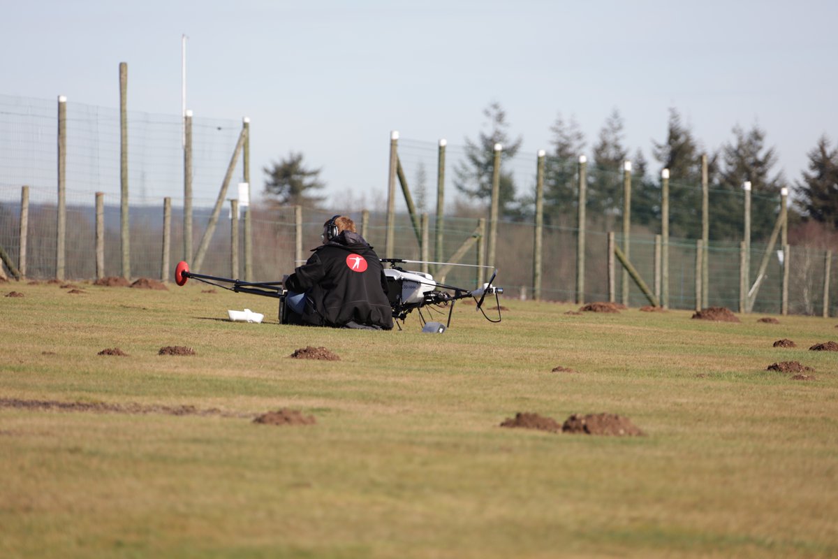 Solitude is sometimes necessary at work 🇷🇴