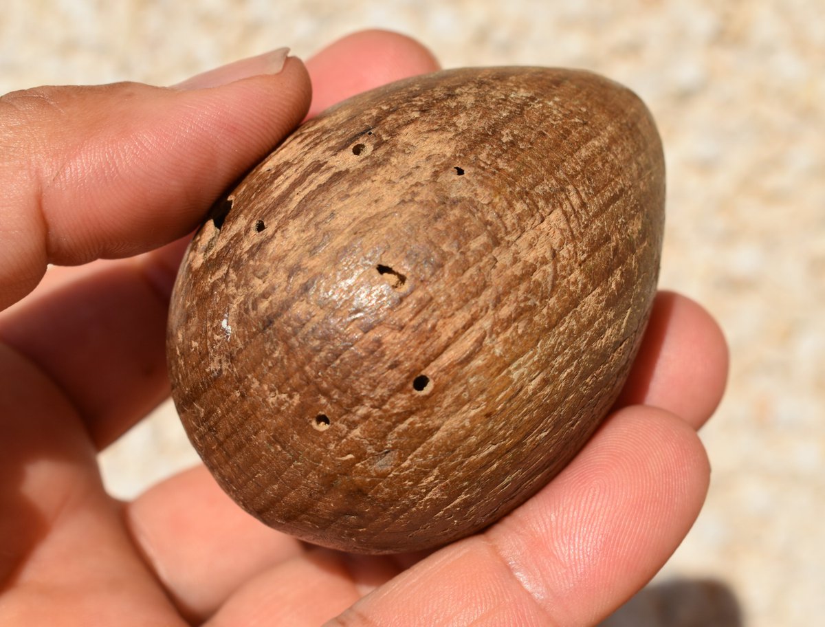 Fa cent anys en qualsevol procés es cuidava el que es tenia.
La iaia Pepica deia "saps... ans de la guerra vivíem bé".

Ou antiu de fusta de sorcir les calces i els calcetins.