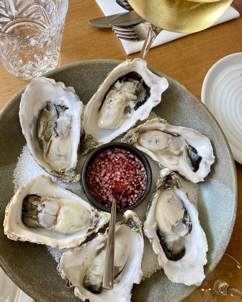 Caroline X.H. Lin • DipWSET tweet media