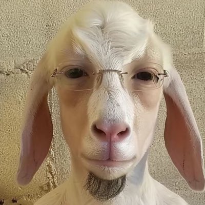 ethanssalazar's tweet photo. #NewProfilePic https://t.co/MAl3F1LN56