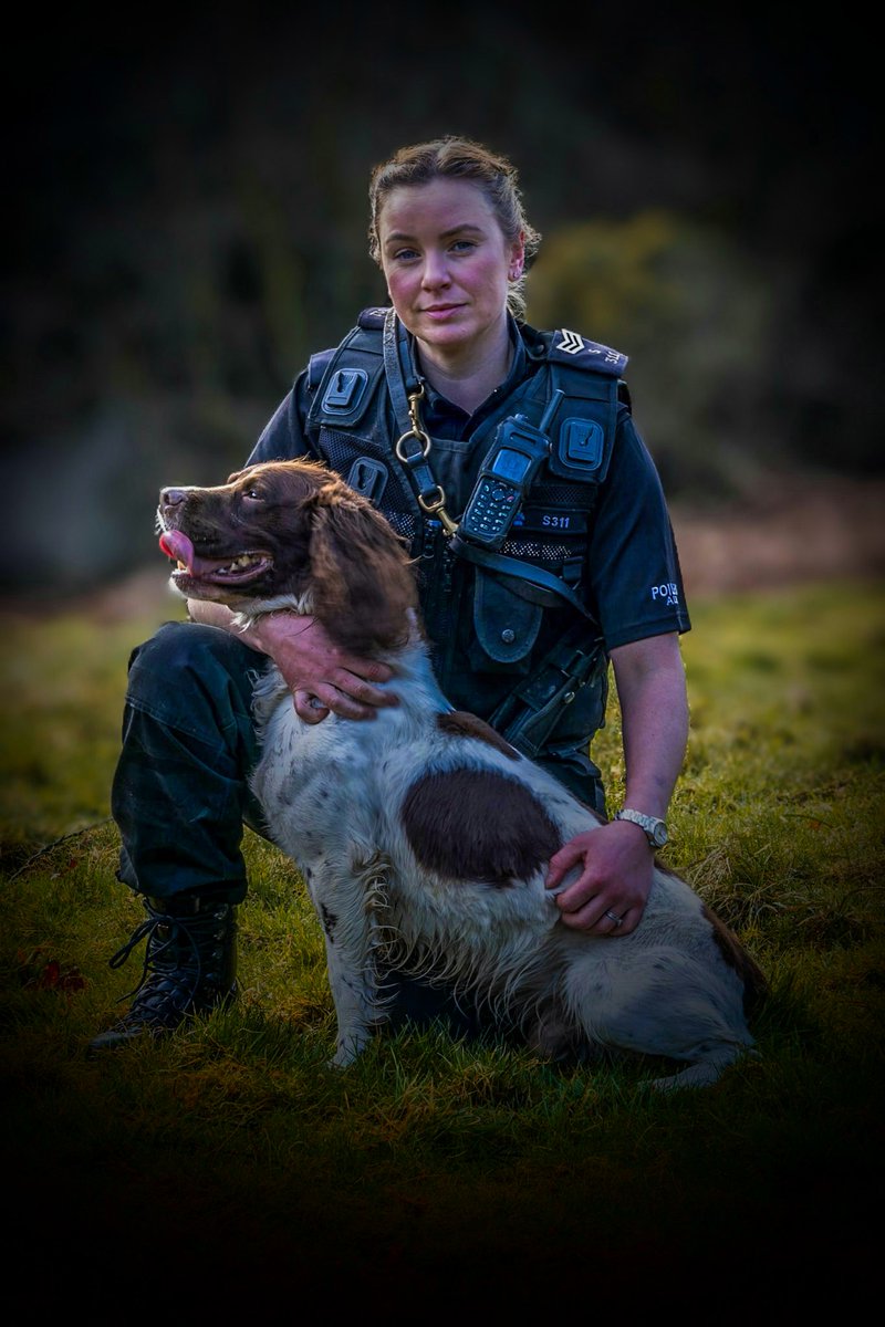 PSOSDogs's tweet photo. #PDTora, #PDLoki and their lead holder were busy with the  @PSOSEdinburgh North Initiative Team yesterday. After a bit of impromptu cardio,1 male was arrested and £13000 worth of drugs recovered thanks to Loki's nose. 

#PawsomeResult
#TeamWork https://t.co/Ml9e4xmV2p