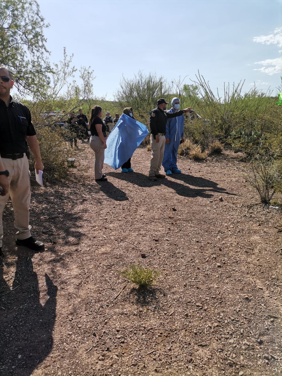 Localizamos en el municipio de Santa Ana, Sonora una osamenta, al parecer era de un hombre.

No dejo de imaginar que el último abrazo que sintió el muchacho se lo dieron esas cuerdas amarradas que lo inmovilizaron para asesinarlo. Espero que pronto sea su madre quien lo abrace.
