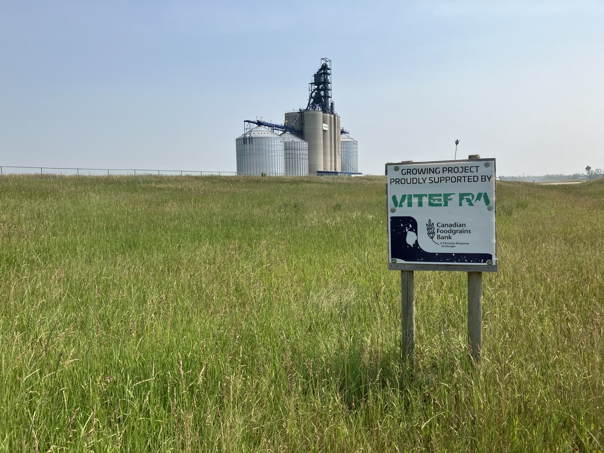 Ricardo Block (@randjblock) on Twitter photo Productive acres donated by <a href="/ViterraCanada/">Viterra Canada</a> w/ friendly staff help set the stage for a <a href="/Foodgrains/">Canadian Foodgrains Bank</a> project.
And then there's the local farmers and agbiz that turn the opp into reality, provide imp resources to alleviate hunger!
Teamwork!
<a href="/BalgonieHofH/">Balgonie Harvest of Hope</a> <a href="/BlairsAg/">Blair's Family of Companies</a> <a href="/CoreAgInputs/">Core Ag Inputs - White Butte</a> Productive acres donated by <a href="/ViterraCanada/">Viterra Canada</a> w/ friendly staff help set the stage for a <a href="/Foodgrains/">Canadian Foodgrains Bank</a> project.
And then there's the local farmers and agbiz that turn the opp into reality, provide imp resources to alleviate hunger!
Teamwork!
<a href="/BalgonieHofH/">Balgonie Harvest of Hope</a> <a href="/BlairsAg/">Blair's Family of Companies</a> <a href="/CoreAgInputs/">Core Ag Inputs - White Butte</a>