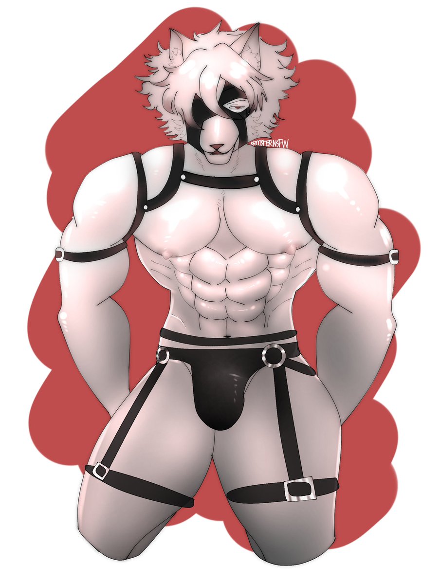 KroosterNSFW's tweet photo. Von Lyacon Jockstrap. (Based on @LialKRose’s post) #ZenlessZoneZero #Lycaon #VonLycaon #zzzero #furrybara #furrynsfw https://t.co/S9p7WTeRml