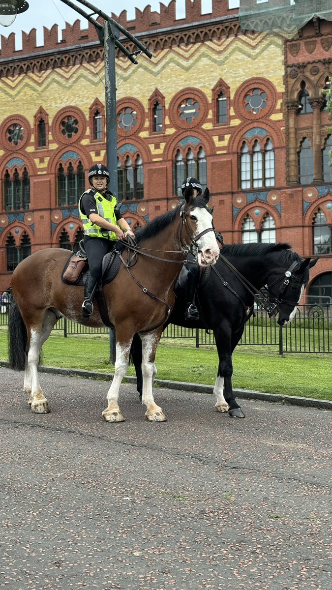 Liam Scott tweet media